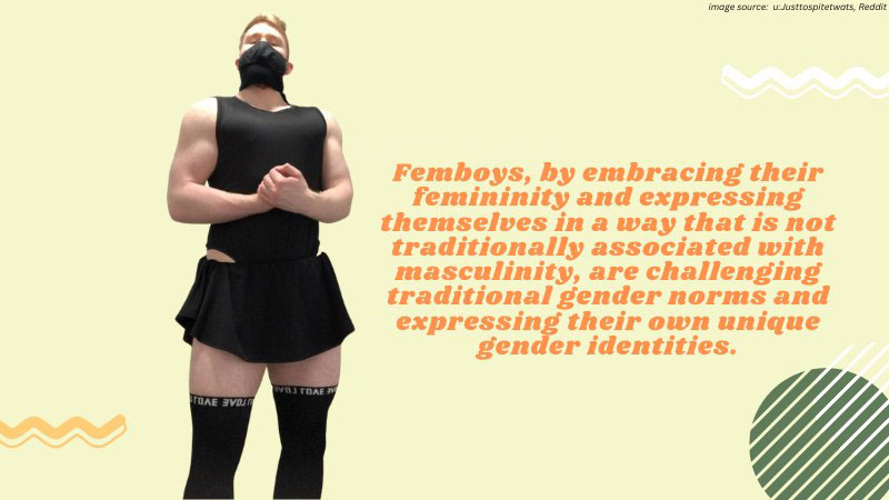 the femboy flag