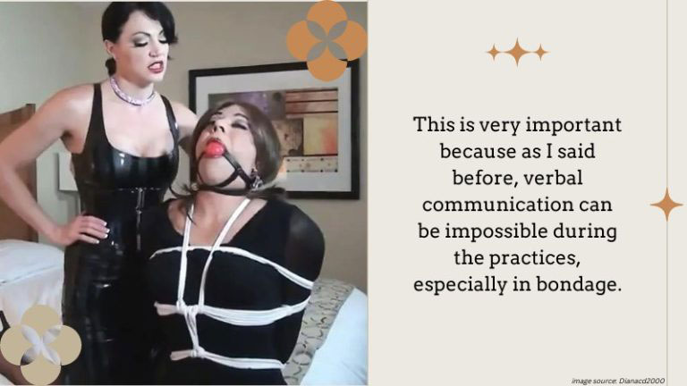 Introduction to BDSM for Crossdressers