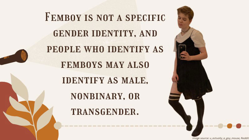 Exploring the Femboy Identity